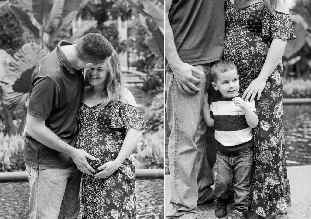 delaware family photographer maternity philly photography fine art longwood gardens fall family pictures what to wear